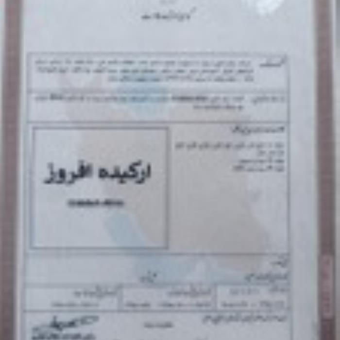 نام تجاری شرکت